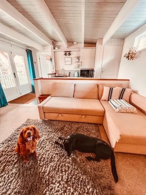 Blankednick Boltholes - 3 Beautiful Family Or Couples Cornish Getaways Villa Truro Eksteriør bilde